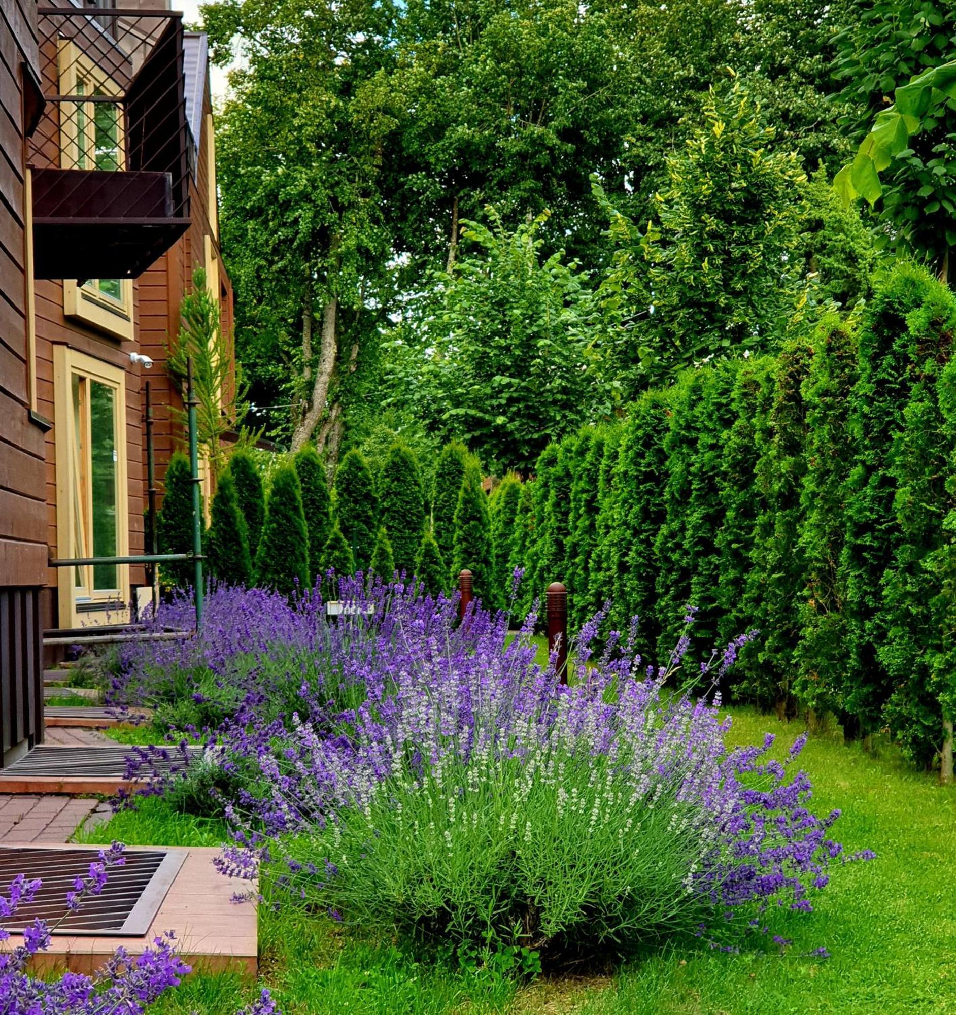 Vila Elegancija Palanga Ngoại thất bức ảnh